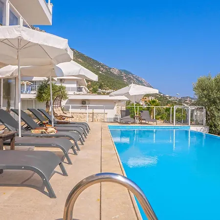 Villa Zeytouna *