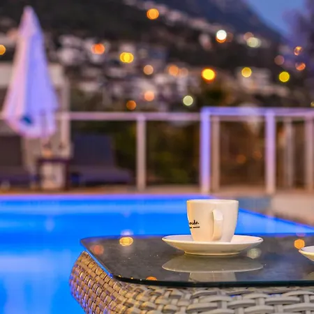 Willa Zeytouna *