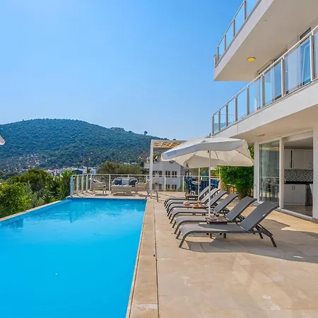 Zeytouna Kalkan